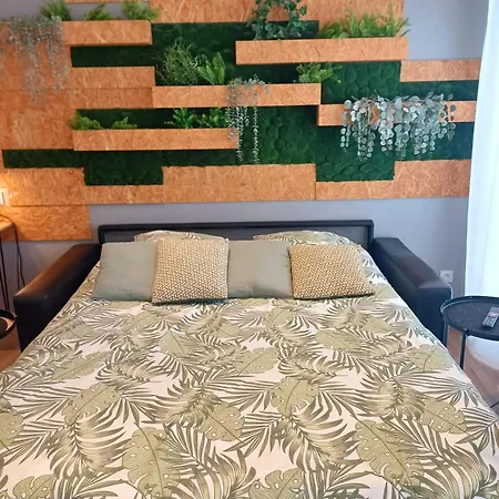 Apartment T2 L'ovalie, 4pers , 4lits, Wifi Agen