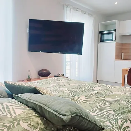 Apartment T2 L'ovalie, 4pers , 4lits, Wifi Agen